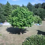 לינה וארוחת בוקר D'hote De La Rotterie