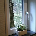 D'hote De La Rotterie