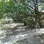 D'hote De La Rotterie לינה וארוחת בוקר