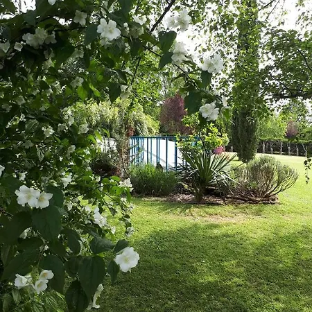 D'hote De La Rotterie Nocleg ze śniadaniem Saint-Mars-dʼOutillé