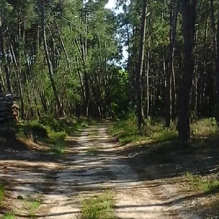 D'hote De La Rotterie Nocleg ze śniadaniem