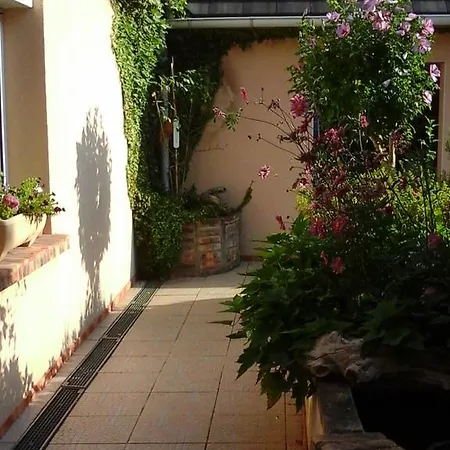 D'hote De La Rotterie לינה וארוחת בוקר