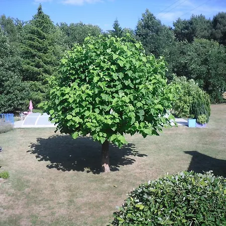 Nocleg ze śniadaniem D'hote De La Rotterie