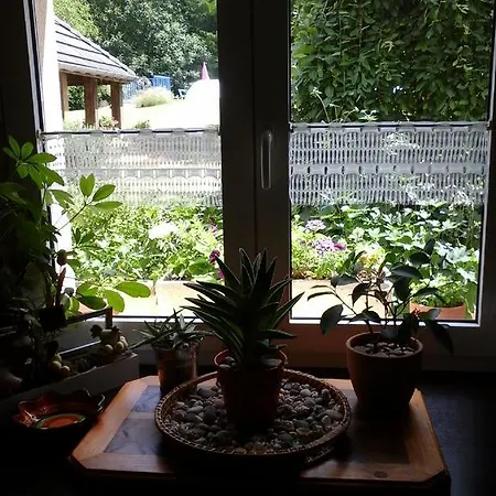 D'hote De La Rotterie 3* Saint-Mars-dʼOutillé