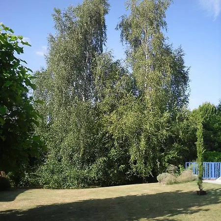 D'hote De La Rotterie Saint-Mars-dʼOutillé