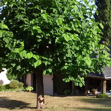 Nocleg ze śniadaniem D'hote De La Rotterie 3*