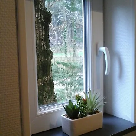 D'hote De La Rotterie