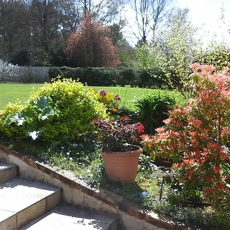 D'hote De La Rotterie