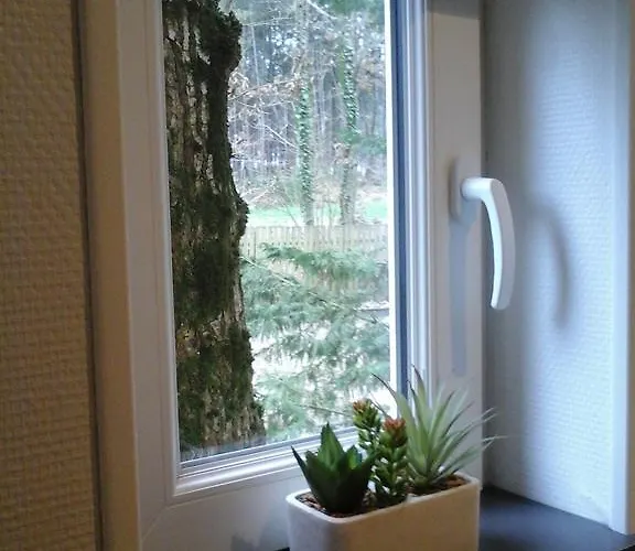 D'hote De La Rotterie