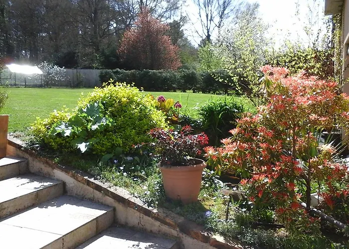 D'hote De La Rotterie